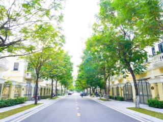 Quỹ căn shophouse liền kề an lạc diện tích từ 90m  vị trí sát đường 3,5 khu tập chung chung cư