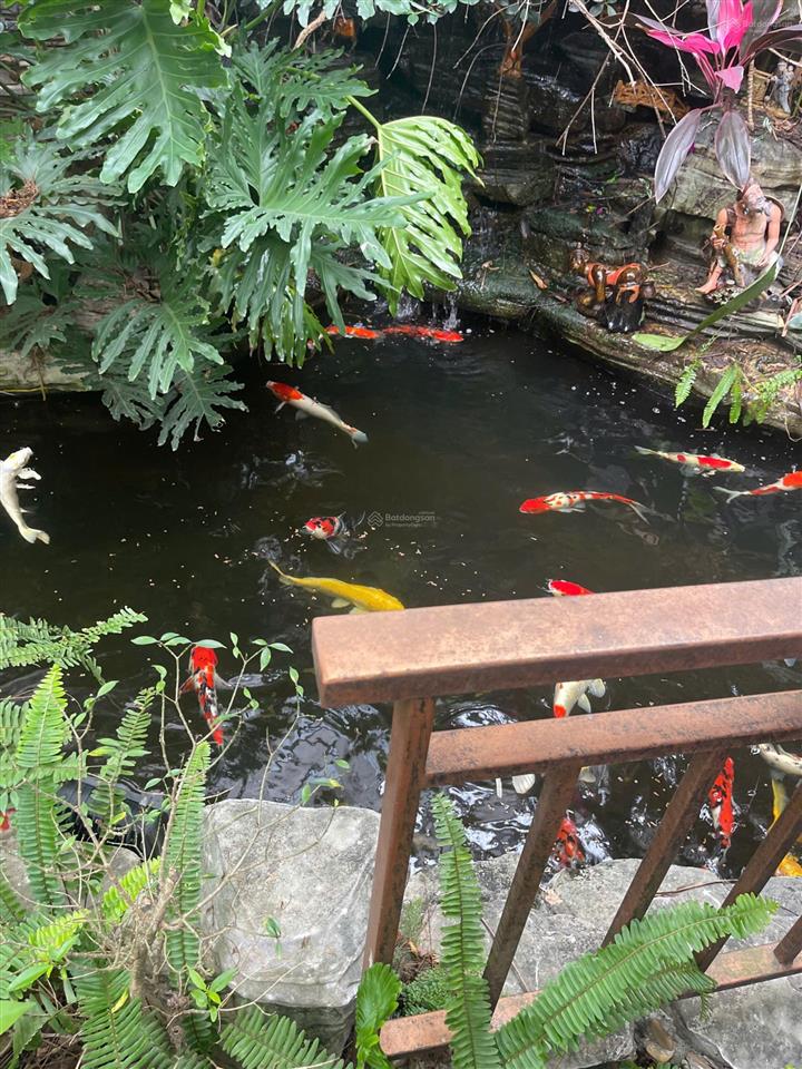 Bán nhà mặt đường đông lai, liên hồng, đan phượng, hà nội, diện tích 260m2 mặt tiền 8.2m, nở hậu