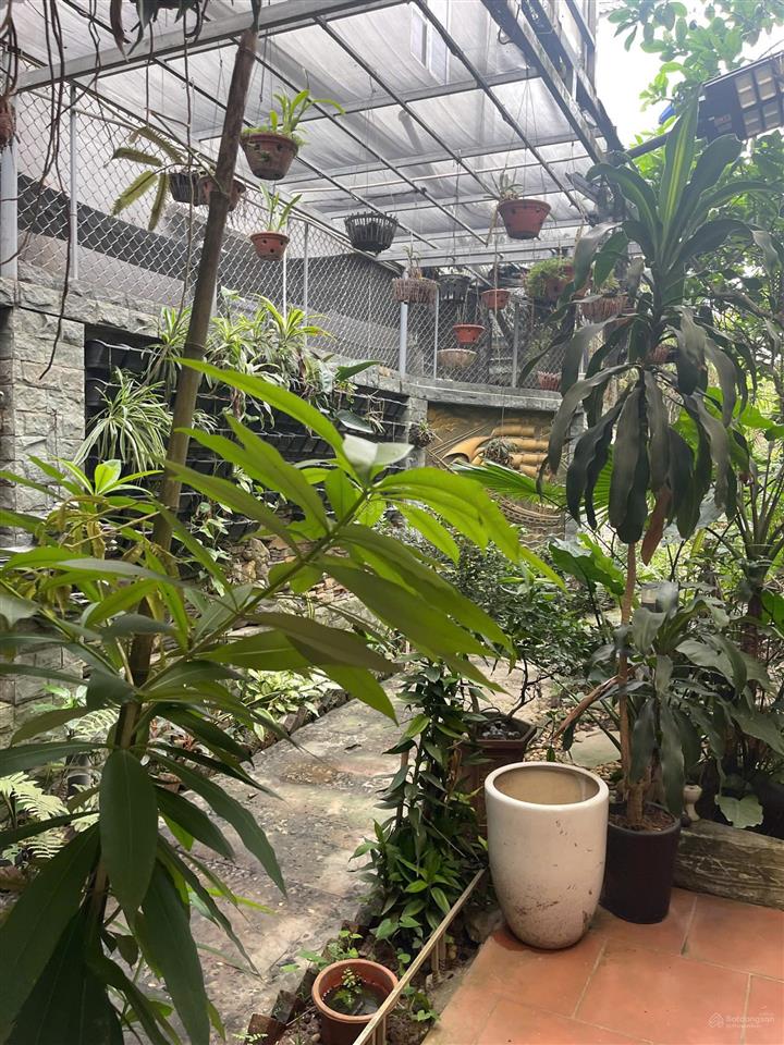 Bán nhà mặt đường đông lai, liên hồng, đan phượng, hà nội, diện tích 260m2 mặt tiền 8.2m, nở hậu