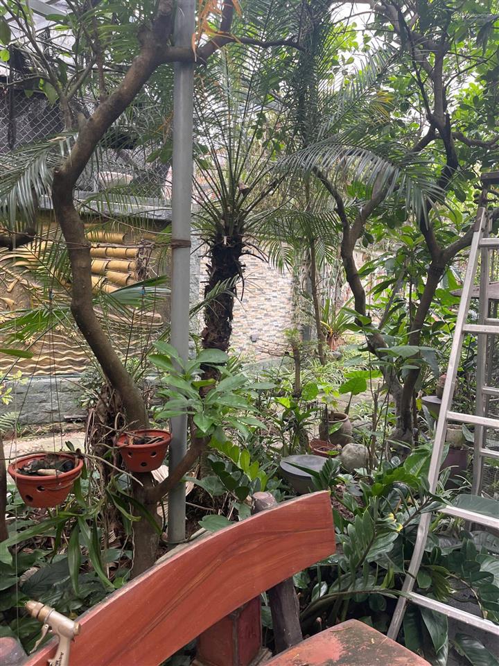 Bán nhà mặt đường đông lai, liên hồng, đan phượng, hà nội, diện tích 260m2 mặt tiền 8.2m, nở hậu