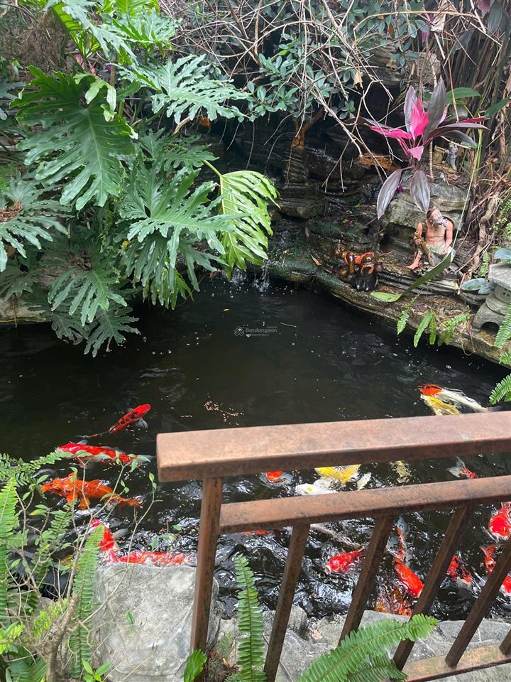 Bán nhà mặt đường đông lai, liên hồng, đan phượng, hà nội, diện tích 260m2 mặt tiền 8.2m, nở hậu