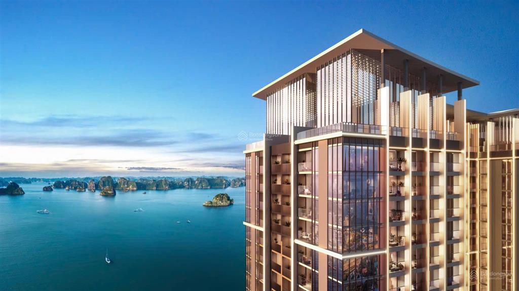 Em có căn ngoại giao aria bay, chiết khấu lên tới 18% kèm quà tặng