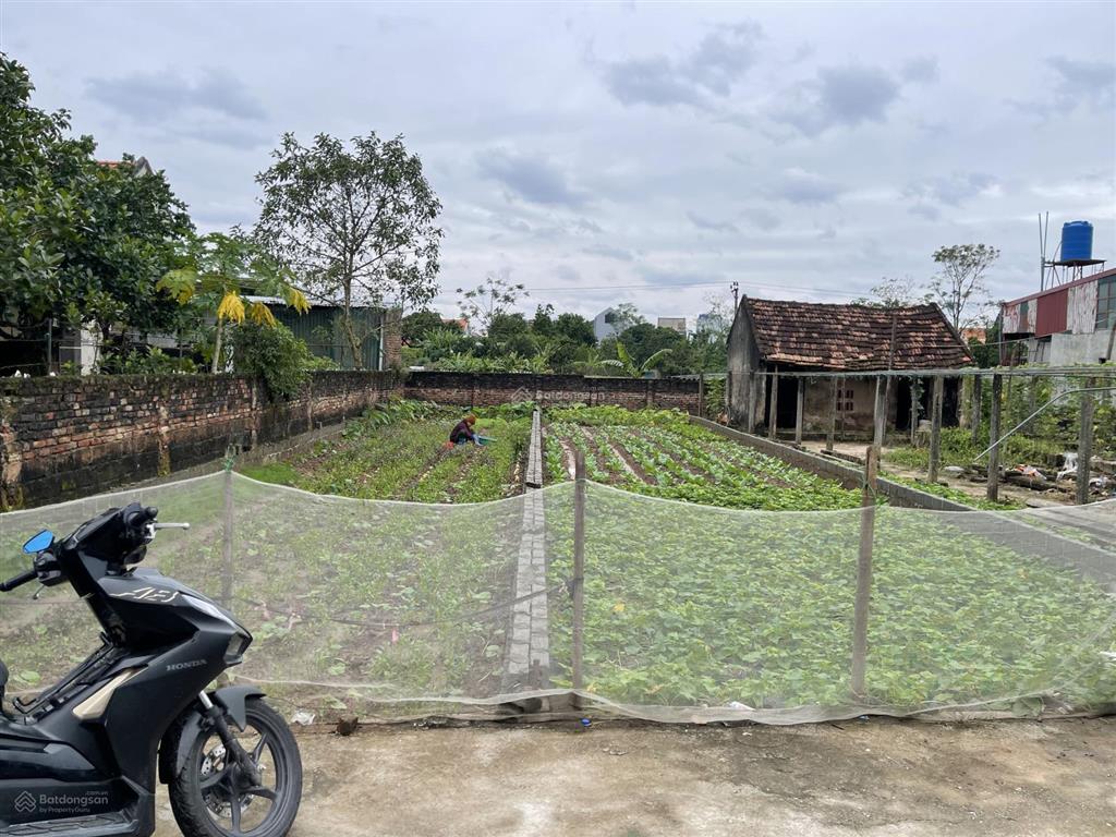 Chính chủ bán lô đất đẹp trung tâm xã tự nhiên  vị trí vàng  ô tô đỗ cửa  giá f0