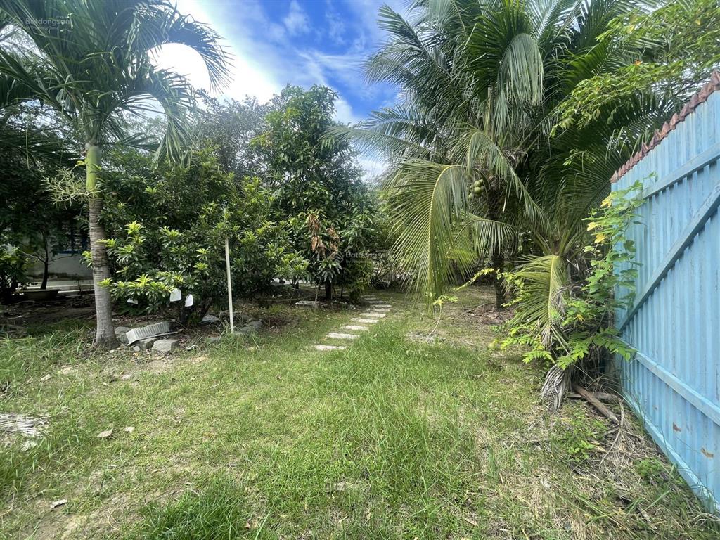 Chính chủ cần bán gấp đất ngay chân núi bà đen