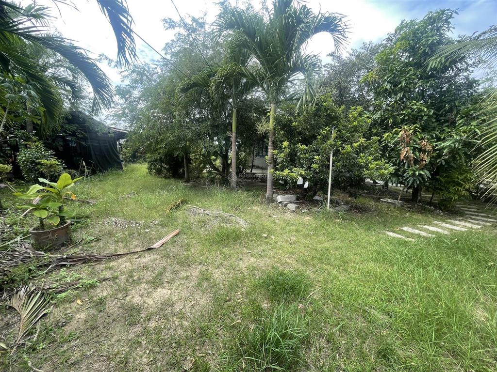 Chính chủ cần bán gấp đất ngay chân núi bà đen