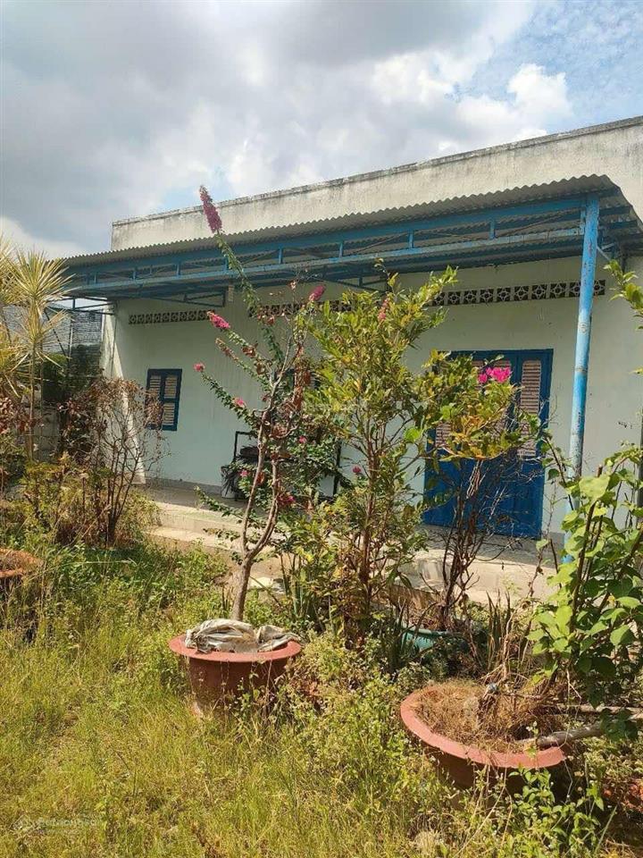 Chính chủ cần bán gấp đất ngay chân núi bà đen