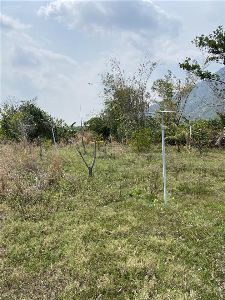 Chính chủ cần bán gấp đất ngay chân núi bà đen