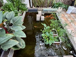 Bán nhà mặt tiền sư vạn hạnh, p12, quận 10  72m2  hợp đồng thuê khoán 85tr  chỉ 33 tỷ