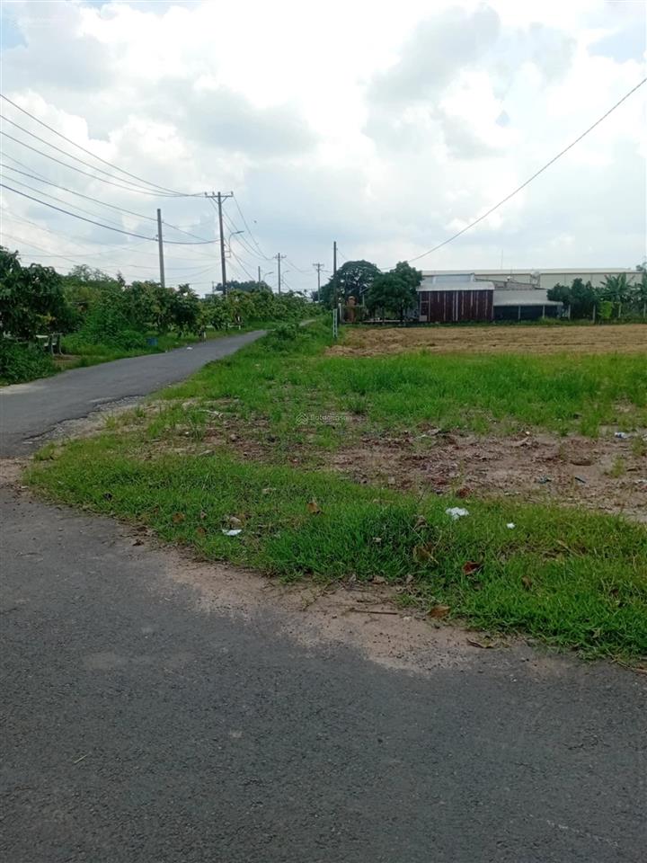 Cc cần bán đất ngay kcn tây bắc củ chi, lô góc 2 mặt tiền đường nhựa, 237m2, công chứng ngay