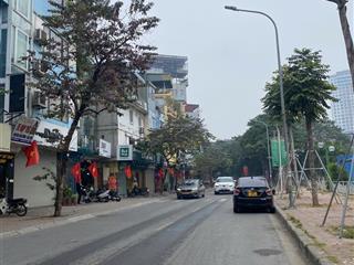 Mặt phố thượng đình  thanh xuân 73,5 tỷ mảnh đất 133 m, mặt tiền 7,6m, cạnh vinhomes cao xà lá,