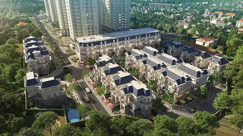 Biệt thự 48 tỷ, 210 m, mặt 12m  khu đô thị mipec city view  kiến hưng hà đông