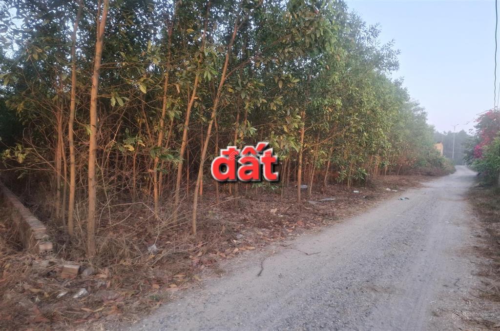 Bán đất vĩnh thanh gần đường nguyễn hữu cảnh 25c thích hợp nhà vườn