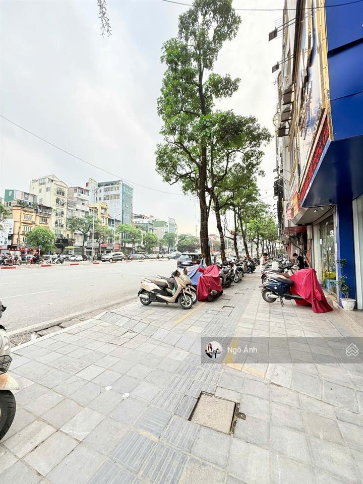 Mặt phố vỉa hè siêu khủng  mặt tiền 10m  vị trí đắc địa  phố vip kinh doanh  trần khát chân