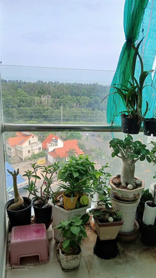 Cần bán căn hộ 2pn tại dic phoenix vũng tàu tầng trung view đẹp hướng mát