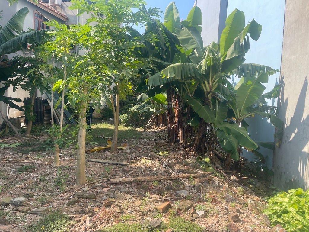 Nguyễn văn linh, long biên dt 252m, mt 9.8m, 23.x tỷ, cách 10m ra ô tô tránh đỗ ngày đêm (90.xtr/m)