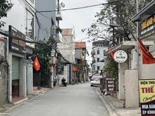 Siêu phẩm phúc lợi, long biên, lô góc, ô tô tránh, kinh doanh, dt 63m, mt 4,2m giá 8.5 tỷ