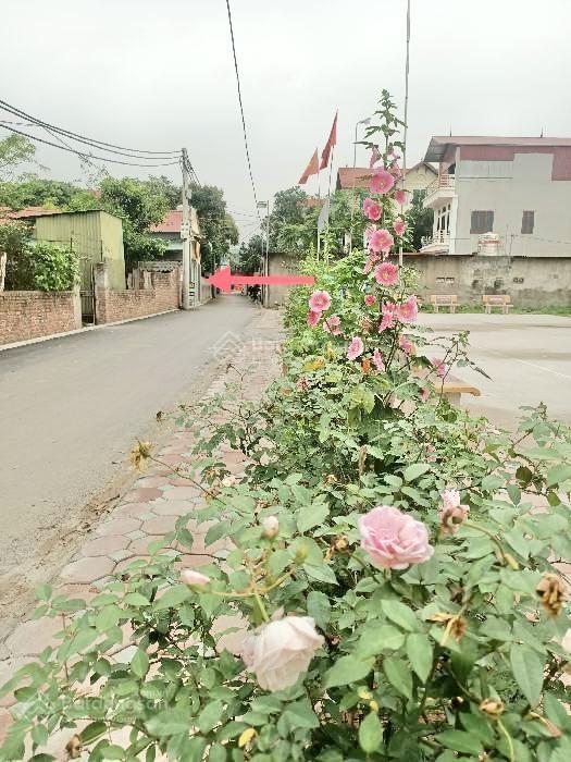 Nhỉnh 2 tỷ đất dương quang dt 176.5m2 mt 11m, gần kcn phú thuỵ, nhà văn hoá đầu tư phân lô sinh lời