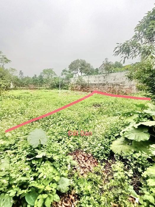 Nhỉnh 2 tỷ đất dương quang dt 176.5m2 mt 11m, gần kcn phú thuỵ, nhà văn hoá đầu tư phân lô sinh lời