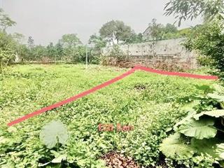 Nhỉnh 2 tỷ đất dương quang dt 176.5m2 mt 11m, gần kcn phú thuỵ, nhà văn hoá đầu tư phân lô sinh lời