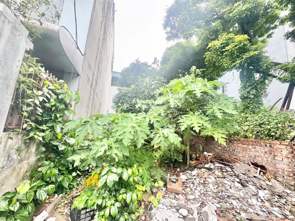 Dương xá, gia lâm dt 81m, mt 4.3m, oto vào đất, trung tâm chợ sủi, kcn dương quang
