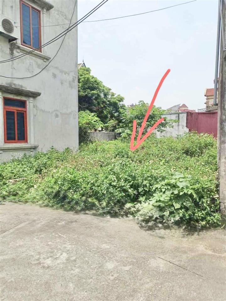 Chỉ 3,3 tỷ sở hữu đất kiêu kỵ, hàng xóm ocean park! dt 85,6/50,5m, oto tránh