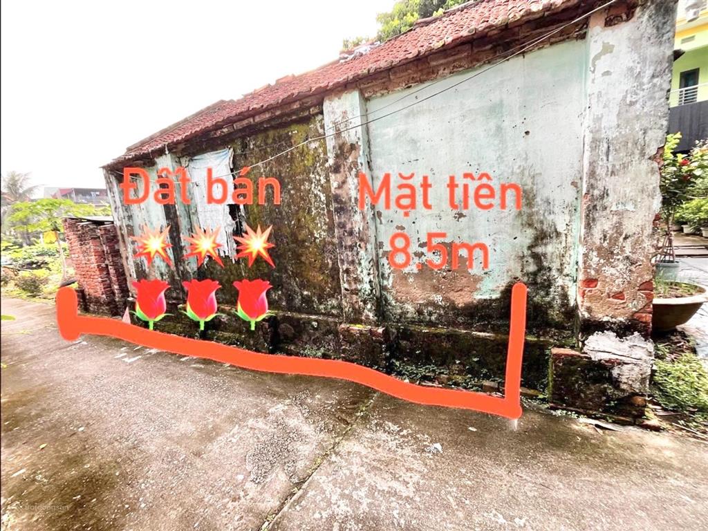 Nhỉnh 40tr/m lô đất ở gia lâm, dt 83.3m, mt 8.5m rộng thoáng sáng, gần chợ, trường học,...