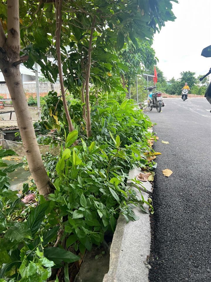 Đất ở, đất đầu tư thổ cư 100% giá 780 triệu ngay chợ gò đen, chợ bình chánh tp hcm, sổ hồng riêng