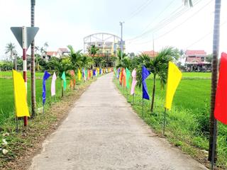 Vài mảnh view lúa khu vực cẩm thanh cam châu hội an