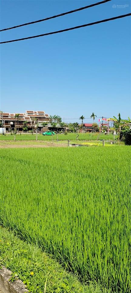 Lô góc view lúa 2 mặt tiền lê thánh tông cẩm châu hội an