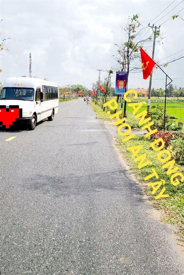 View lúa kề lô góc đ.hùng vương cánh đồng lúa ph hội an tây