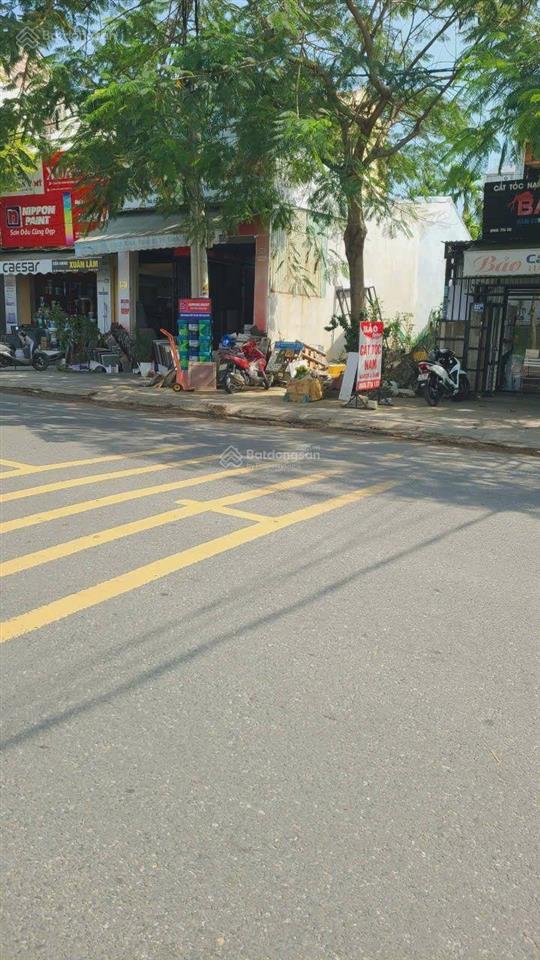 View lúa kề lô góc đ.hùng vương cánh đồng lúa ph hội an tây