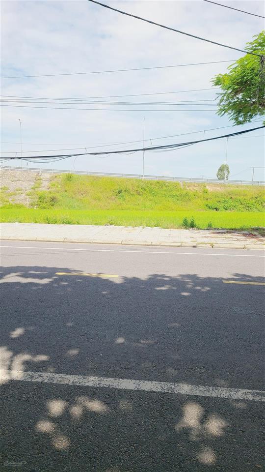 View lúa kề lô góc đ.hùng vương cánh đồng lúa ph hội an tây