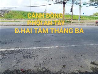 View lúa kề lô góc đ.hùng vương cánh đồng lúa ph hội an tây