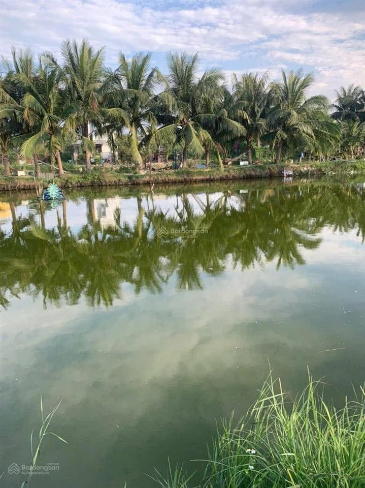 Vài mảnh view sông bé cam thanh cẩm châu hội an