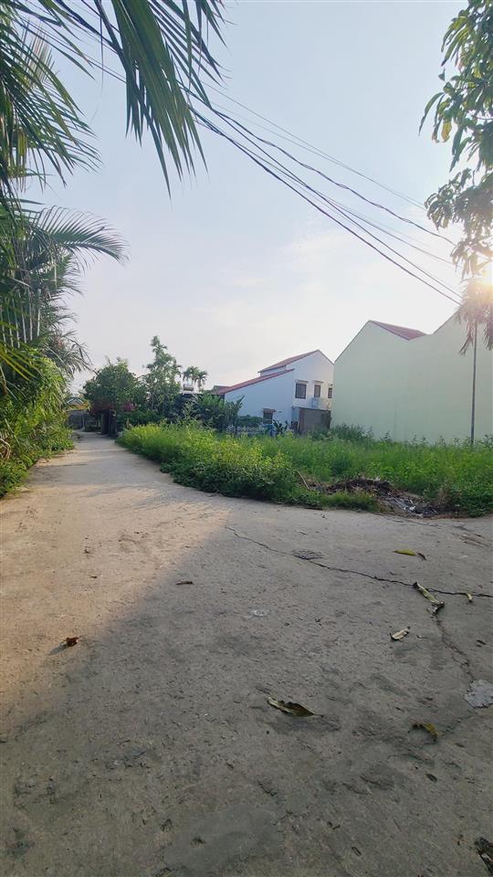 Vài mảnh view sông rừng dừa cẩm thanh cam châu hội an
