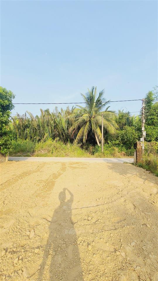 Vài mảnh view sông rừng dừa cẩm thanh cam châu hội an