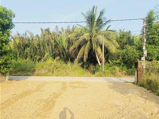 Vài mảnh view sông rừng dừa cẩm thanh cam châu hội an