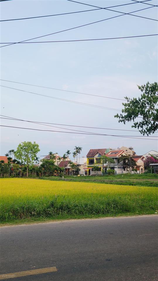 Vài mảnh view sông rừng dừa cẩm thanh cam châu hội an