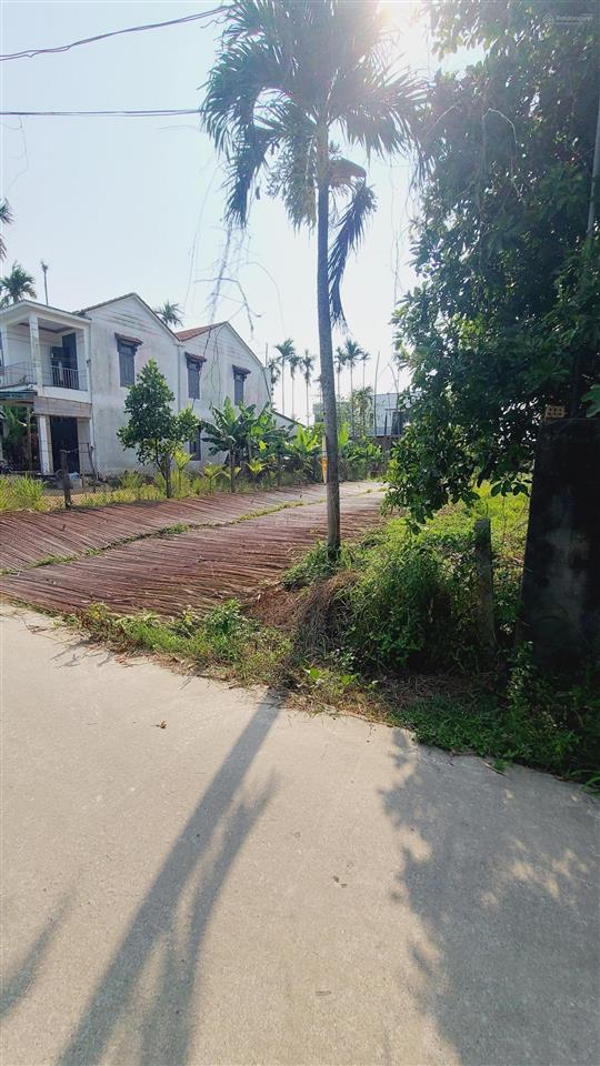 Vài mảnh view sông rừng dừa cẩm thanh cam châu hội an