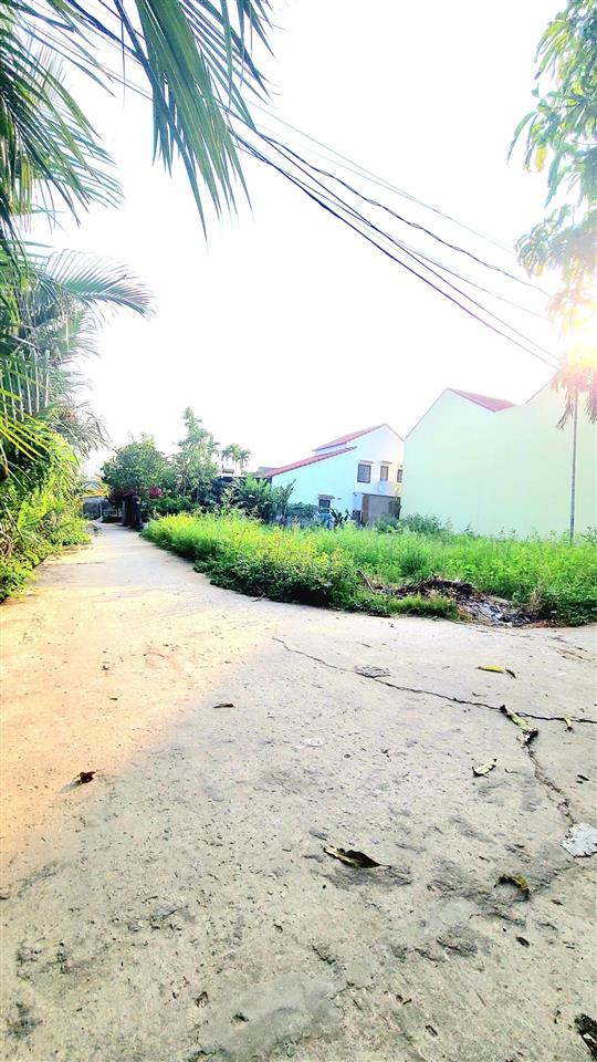 Làng rau trà quế ngôi làng nổi tiếng 500 năm cẩm châu hội an