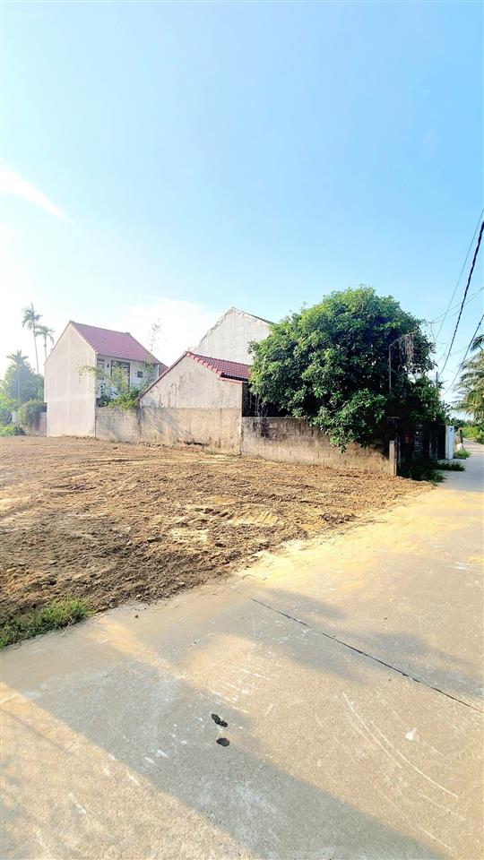 Làng rau trà quế ngôi làng nổi tiếng 500 năm cẩm châu hội an