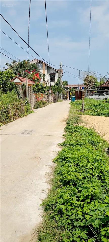 Đất làng trà quế cách biển an bàng hội an 0,5km