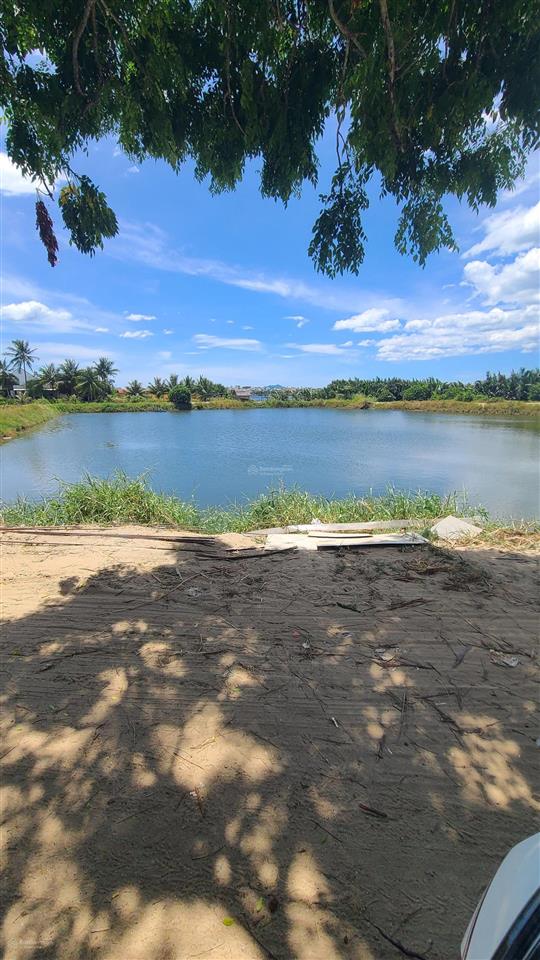 Đất làng trà quế cách biển an bàng hội an 0,5km
