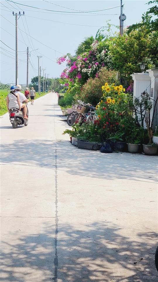 Đất làng trà quế cách biển an bàng hội an 0,5km