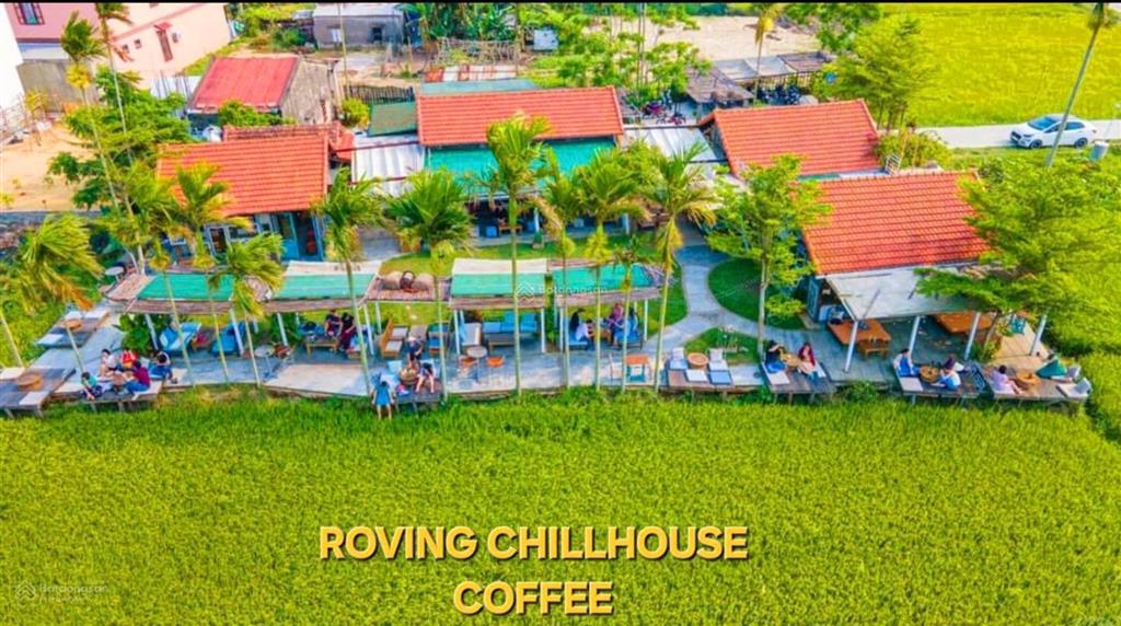 View lúa an mỹ cẩm châu hội an
