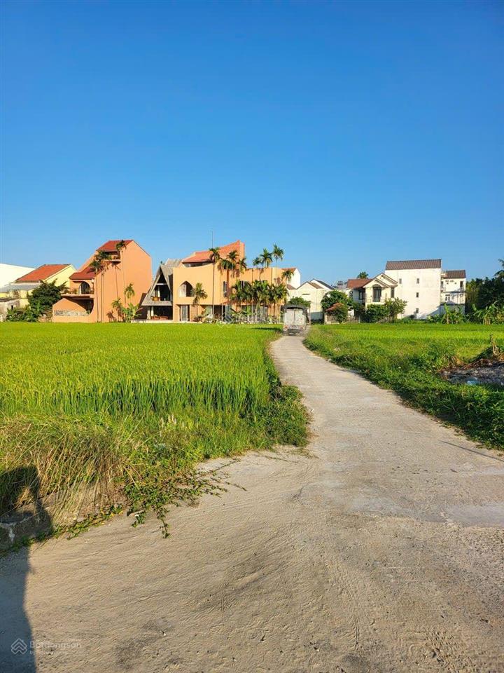 View lúa an mỹ cẩm châu hội an
