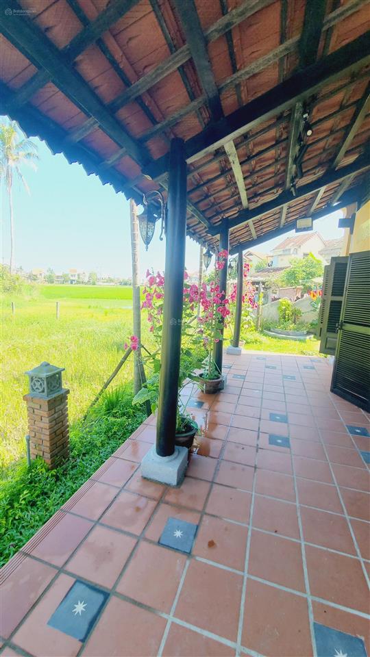 View lúa an mỹ, cẩm châu ngõ lý thường kiệt, hội an