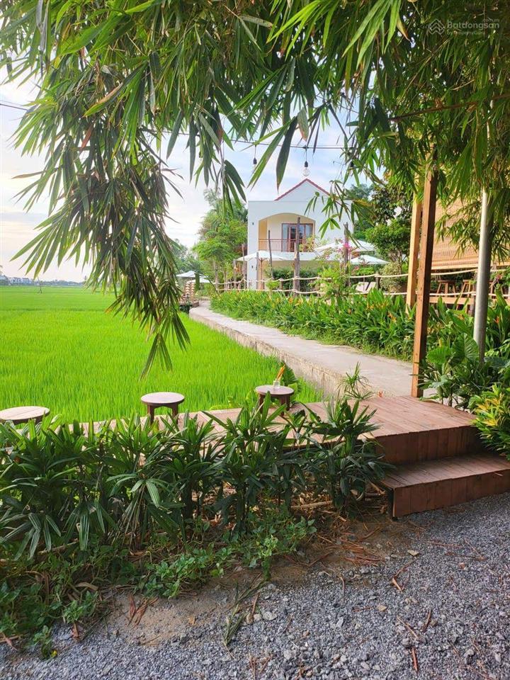 View lúa an mỹ, cẩm châu ngõ lý thường kiệt, hội an