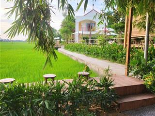 View lúa an mỹ, cẩm châu ngõ lý thường kiệt, hội an