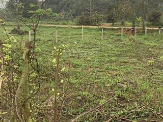 Lô đất tại xóm tân vinh, phú vinh, tân lạc, hòa bình